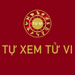 sao duong phu 6353a090c6dd2