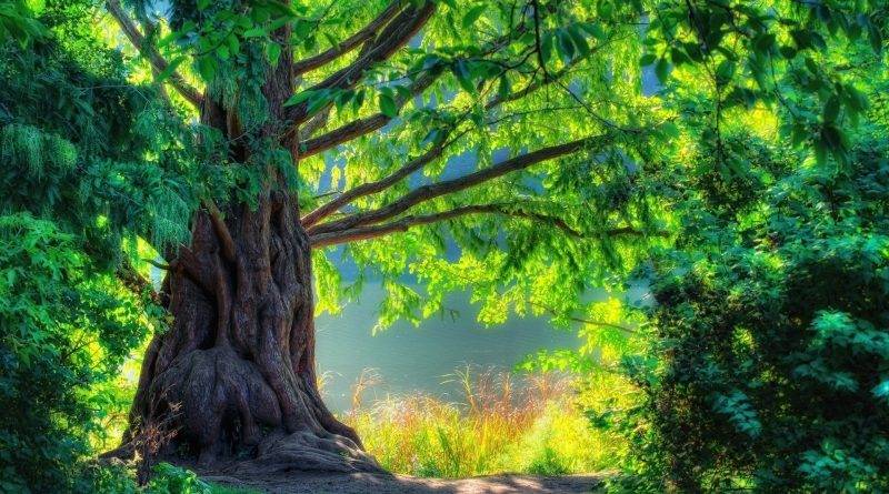 XƯƠNG KHÚC NÊN VÀO CUNG PHÚC ĐỨC NHẤT