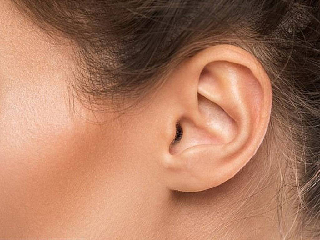 4 đặc điểm của tướng tai giàu có, vương giả 9 Tướng tai với kích thước nhỏ