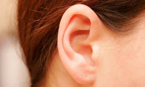 4 đặc điểm của tướng tai giàu có, vương giả 10 Vành tai dày