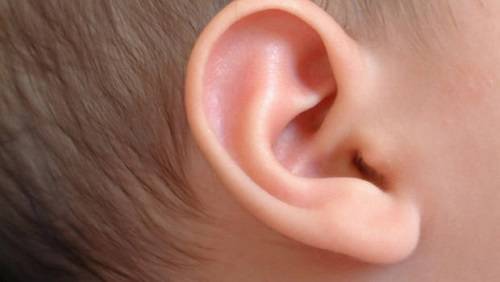 4 đặc điểm của tướng tai giàu có, vương giả 13 Đường nét tướng tai phú quý