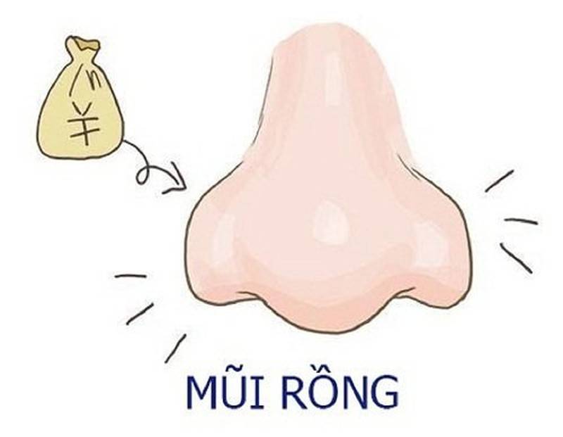 5 tướng mũi đàn ông giàu sang, tiền của chất núi 11 Mũi rồng