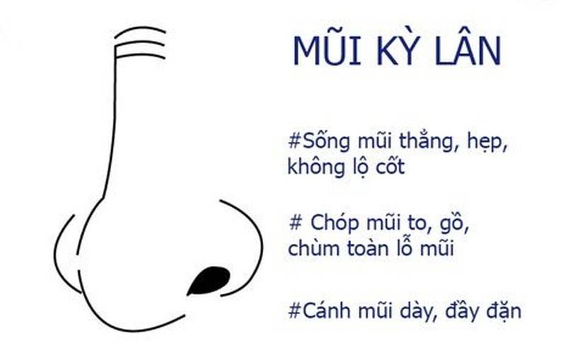 5 tướng mũi đàn ông giàu sang, tiền của chất núi 12 Tướng mũi lân