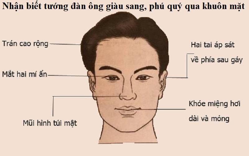 5 tướng mũi đàn ông giàu sang, tiền của chất núi 18 Chú ý khi đổi sang tướng mũi đàn ông giàu sang