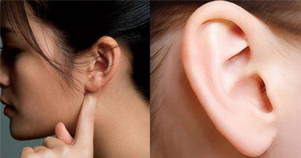 9 đặc điểm của tướng tai phụ nữ giàu có 10 Đặc điểm của tướng tai phụ nữ giàu có