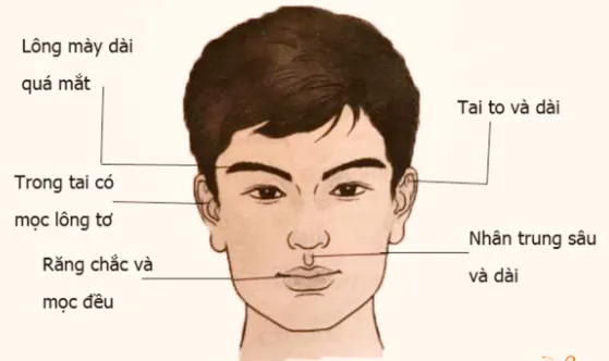 Các tướng mặt đàn ông chung thuỷ bạn không nên bỏ qua 2 tướng mặt đàn ông chung thuỷ