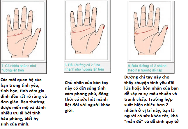 Cách xem đường tình duyên biết trước vận mệnh hôn nhân 7 Ý Nghĩa Của Đường Tình Duyên Trên Bàn Tay