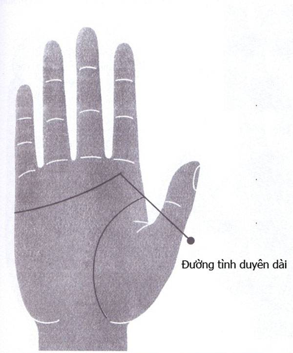 Cách xem đường tình duyên biết trước vận mệnh hôn nhân 8 Đường tình duyên dài, rõ nét thường trơn tru trong tình yêu.