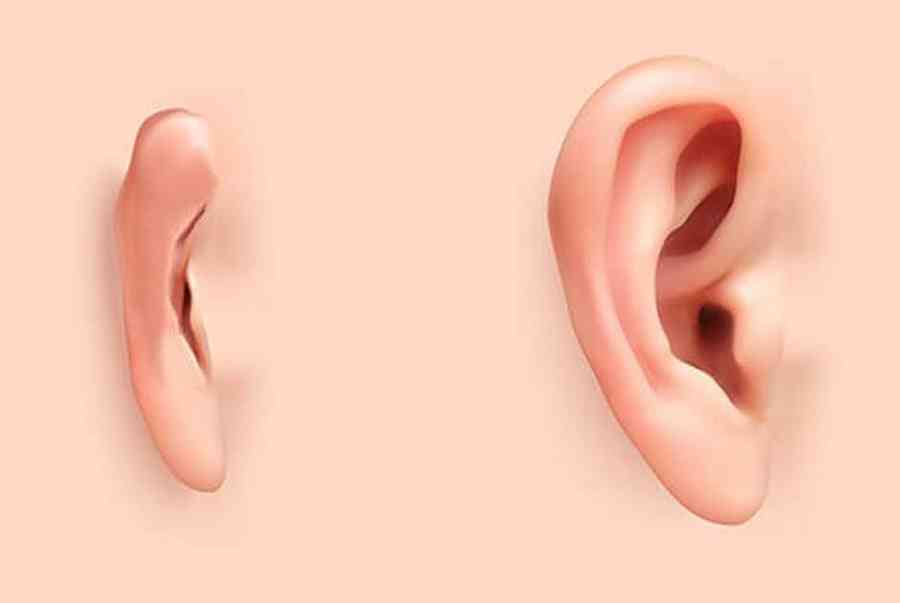Cách xem tướng tai phụ nữ giàu sang chuẩn 100% 6 Coi tướng tai phụ nữ giàu sang ở đâu?