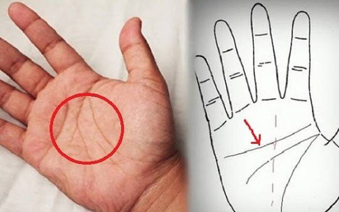 Có 12 đường chỉ tay nữ giàu có này cả đời phú quý