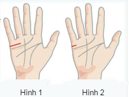 Có 12 đường chỉ tay nữ giàu có này cả đời phú quý 13 Coi tướng giàu có qua đường chỉ tay hôn nhân