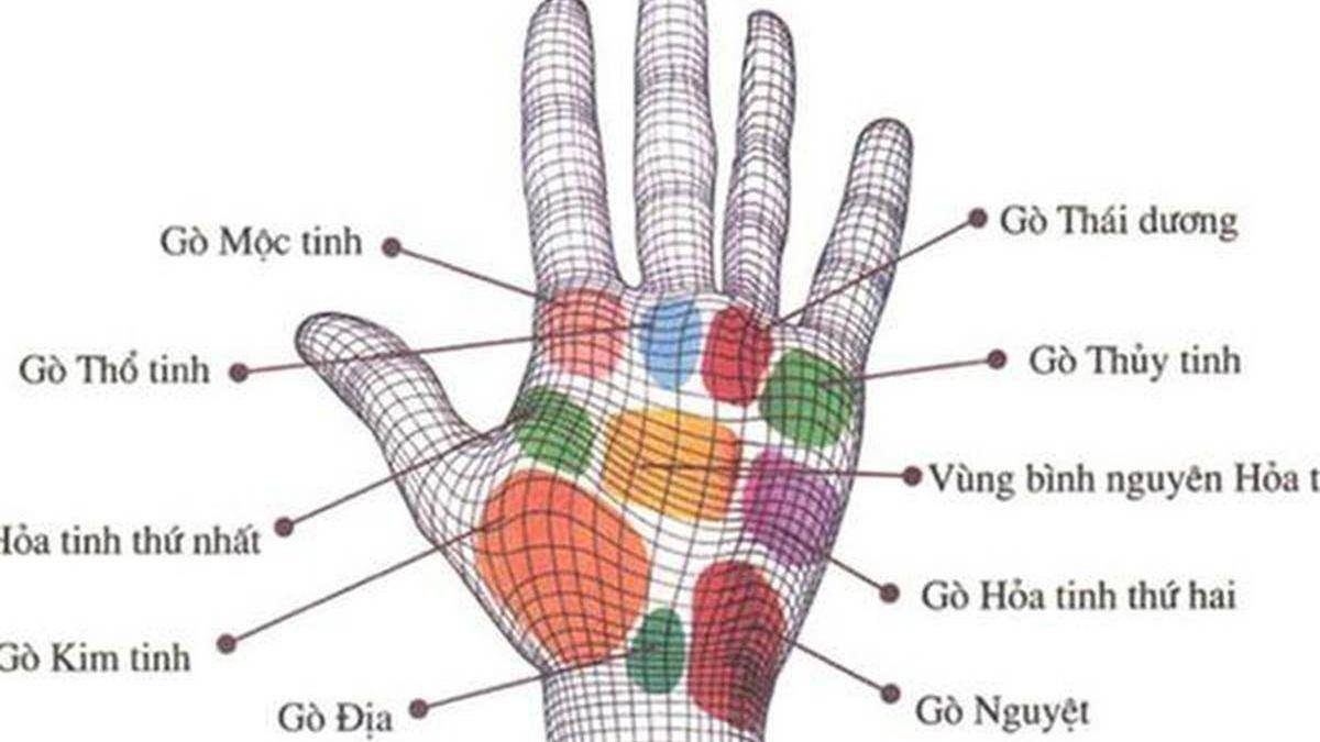 Có 12 đường chỉ tay nữ giàu có này cả đời phú quý 14 Tướng bàn tay giàu có qua gò Thuỷ tinh