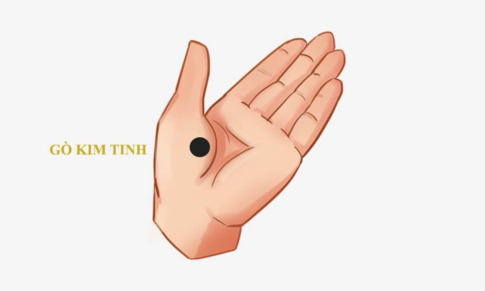 Có 12 đường chỉ tay nữ giàu có này cả đời phú quý 17 Đường chỉ tay nữ trên phần gò Kim tinh