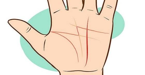 Giải mã các đường chỉ tay đặc biệt chỉ có ở 1% dân số 7 Đường chỉ tay chữ M