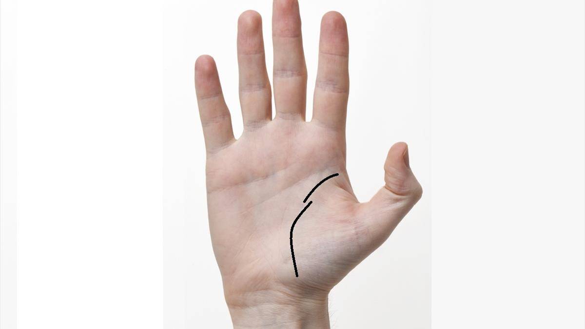 Giải mã các đường chỉ tay đặc biệt chỉ có ở 1% dân số 12 Đường sinh mệnh đứt đoạn