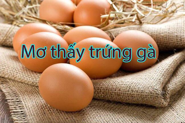 Giải mã giấc mơ thấy trứng gà chi tiết nhất 2024 3 mơ thấy trứng gà