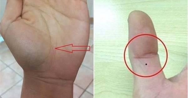 Giải mà ý nghĩa chỉ tay đuôi cá và tiên đoán vận mệnh chuẩn 100% 5 Chỉ tay đuôi cá vào đường ba chiều