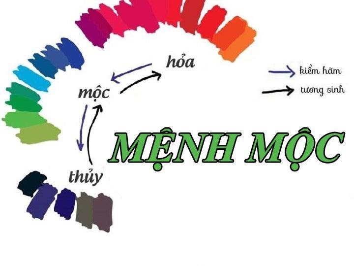 Mệnh Mộc hợp nghề gì để nhanh phát tài phát đạt? 12 (Chọn nghề hợp mệnh Mộc theo ngũ hành)