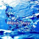 menh thuy sinh nam nao van menh cua nguoi menh thuy 63b3e4a75b454