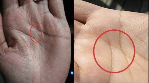 Tiên đoán tương lai của nam, nữ có chỉ tay chữ N