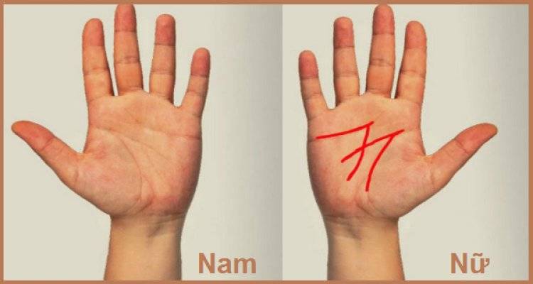 Tiên đoán vận mệnh của đường chỉ tay đuôi phượng chuẩn 100% 14 Chỉ tay chữ M