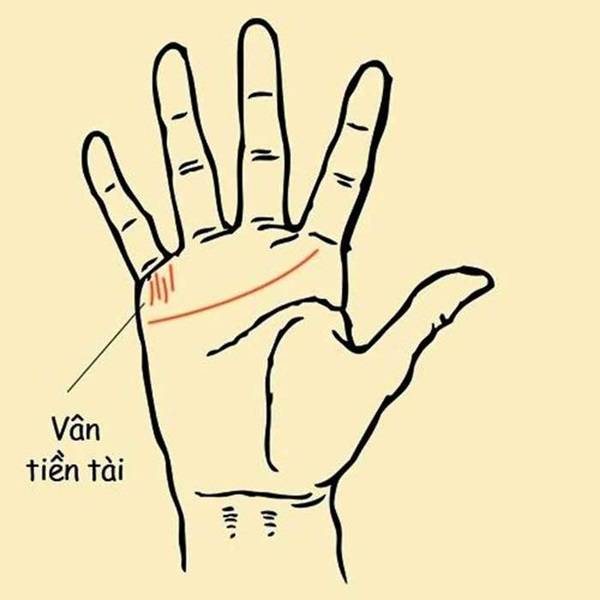 Tiên đoán vận mệnh của đường chỉ tay đuôi phượng chuẩn 100% 15 Người có vân tiền tài - đường chỉ tay hiếm gặp