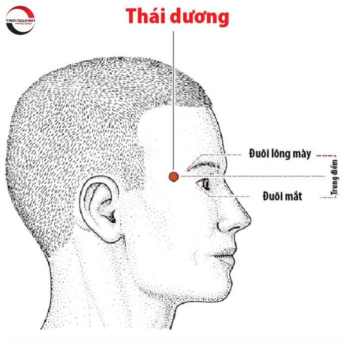 Tổng hợp các tướng mặt đàn ông thương vợ mới nhất 2024 12 tướng đàn ông yêu thương vợ