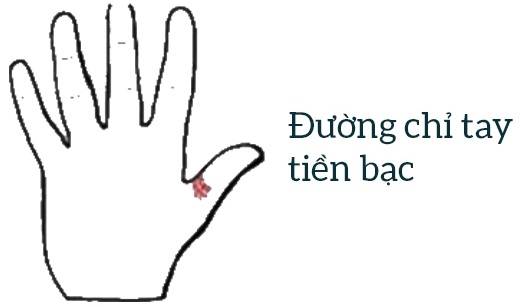 TOP 10 những đường chỉ tay lạ không phải ai cũng có 11 Đường chỉ tay tiền bạc