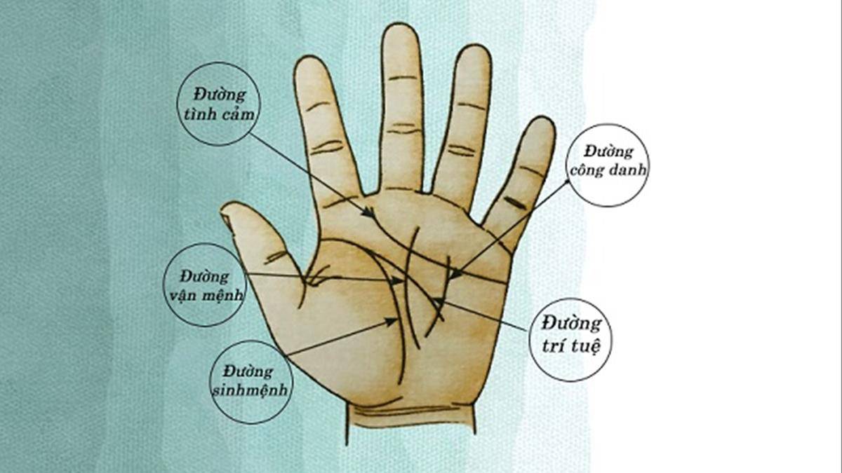 TOP 7 những đường chỉ tay tốt mang lại may mắn