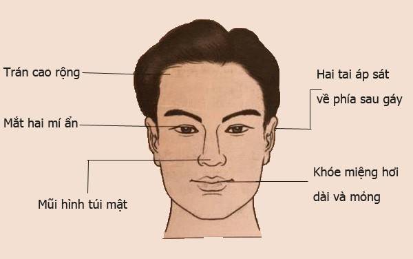Tướng mặt siêu quần là gì? 7 tướng mặt của người giàu sang 7 Tướng mặt siêu quần