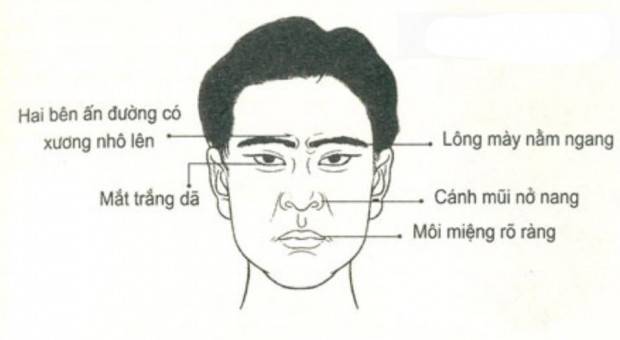 Tướng mặt siêu quần là gì? 7 tướng mặt của người giàu sang 8 Tướng mặt kiên cường