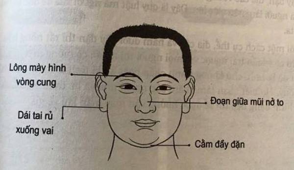 Tướng mặt siêu quần là gì? 7 tướng mặt của người giàu sang 9 tướng mặt dĩ hòa vi quý
