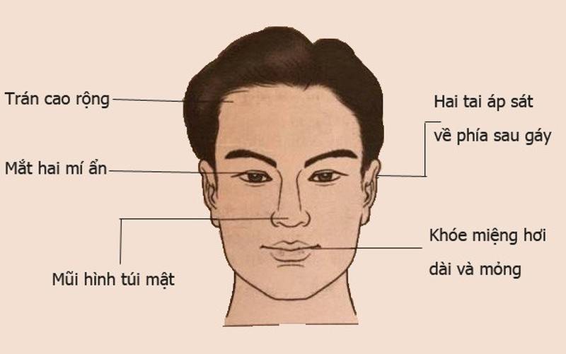 Tướng mặt siêu quần là gì? 7 tướng mặt của người giàu sang 11 Tướng mặt to, tai lớn