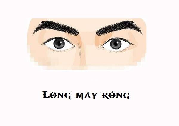 Vận mệnh của người có chân mày tướng quan chuẩn 100% 10 Mày rồng