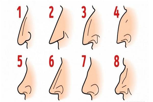 Vận mệnh của tướng mũi gãy như thế nào? Tốt hay xấu? 6 Tướng mũi gãy là thế nào?