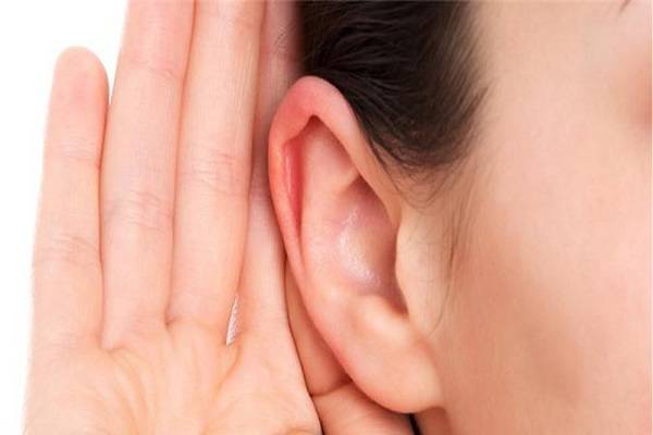 Xem vận mệnh người có tướng tai dơi chuẩn 100% 8 Tướng tai dơi phụ nữ có ý nghĩa ra sao?