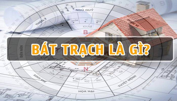 Bát Trạch Là Gì? Cách Xem & Ứng Dụng Phong Thủy Bát Trạch Cơ Bản