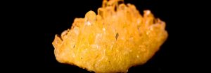 citrine 1203x423 1