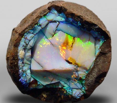 Tổng Quan Về  Opal