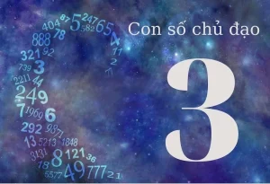 Số Ngày Sinh 3