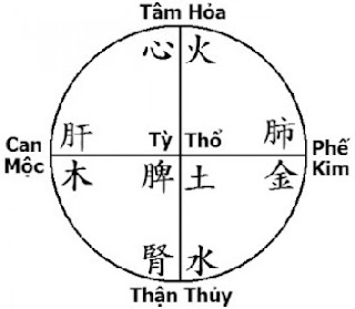 Tứ Trụ xem Bệnh Tật - Phần 1 1 13