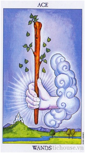 ACE OF WANDS
