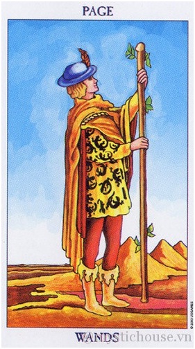 PAGE OF WANDS