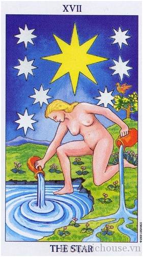 THE STAR 2 the star 6524bca2cd3f6