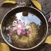 Năng lượng, tấn số, rung động (Phần 1: Cách nâng cao tần số cơ thể) 36 0GYUO8G8YbjAb97u