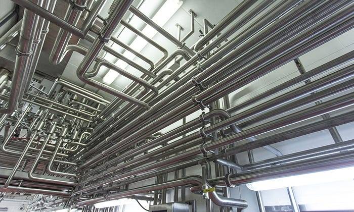 Hiểu hơn về Não bộ — Luật hấp dẫn và cách “ăn” năng lượng 11