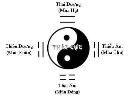 Cơ bản về Thái cực, lưỡng nghi, tứ tượng, bát quái 5 Word Image